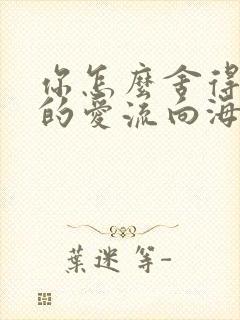 你怎么舍得让我的爱流向海
