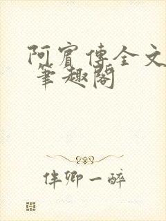 阿宾传全文阅读 笔趣阁