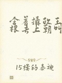 含着摄政王的紫根去上朝叫什么封面
