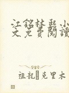 江铭林熙小说全文免费阅读
