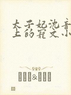 太子妃沈音和皇上的宠文小说封面
