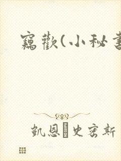 窃欢(小秘书)