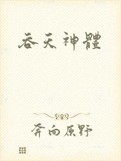 吞天神体封面