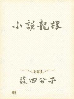 小说龙根封面