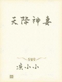 天降神妻