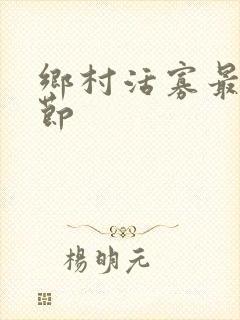 乡村活寡最新章节