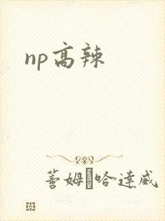 np高辣