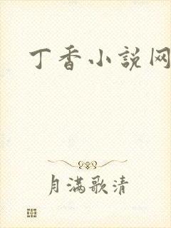丁香小说网