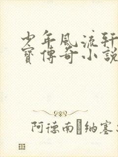 少年风流轩辕大宝传奇小说封面
