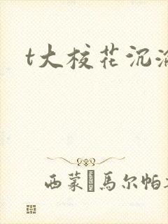 t大校花沉沦封面