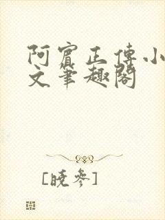 阿宾正传小说全文笔趣阁