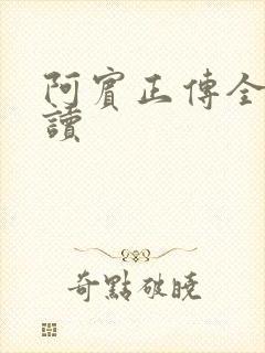 阿宾正传全文阅读封面