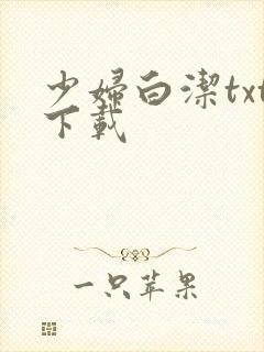 少妇白洁txt下载