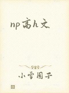 np高h文