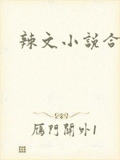 辣文小说合集