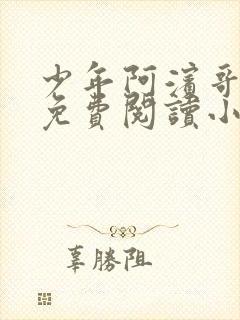 少年阿滨哥全文免费阅读小说封面