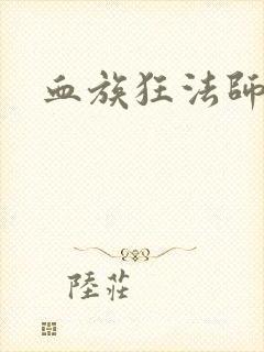 血族狂法师封面