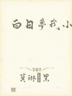 白日梦我小说