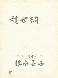赵世桐封面