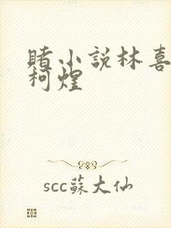 赌小说林喜朝和柯煜