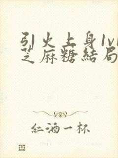 引火上身1v1芝麻糖结局封面