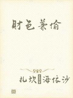 财色兼偷封面