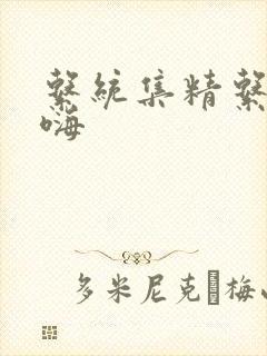 系统集精系统高嗨