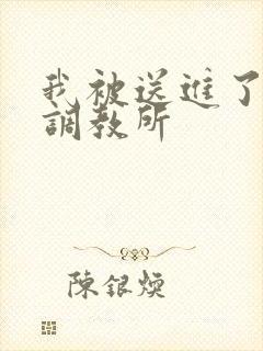 我被送进了私奴调教所封面