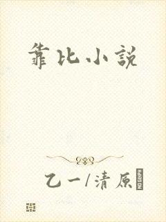 靠比小说