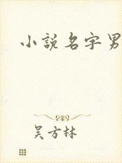小说名字男生