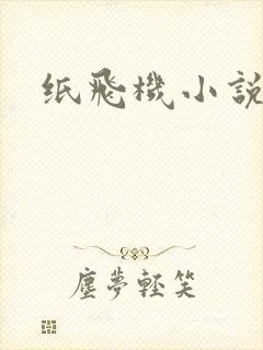 纸飞机小说