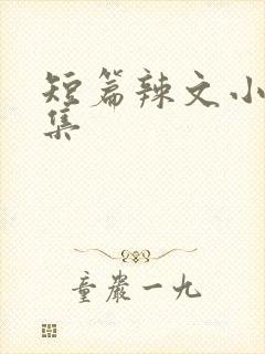 短篇辣文小说合集