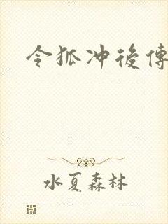令狐冲后传封面