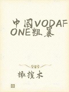 中国VODAFONE粗暴