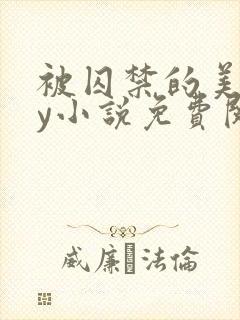 被囚禁的美人by小说免费阅读