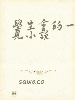 学生会的一己之见小说
