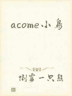 acome小鸟