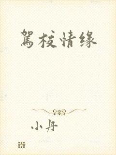驾校情缘