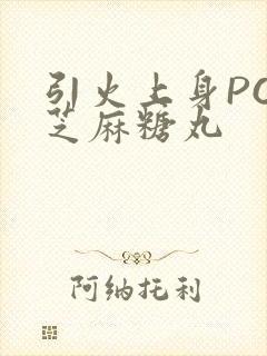 引火上身POP芝麻糖丸