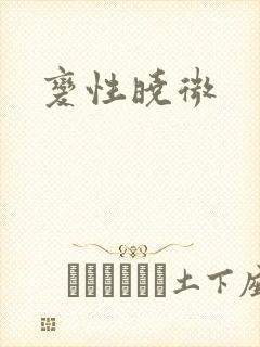 变性晓微封面