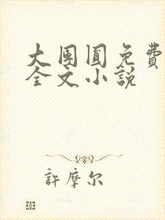 大团圆免费阅读全文小说