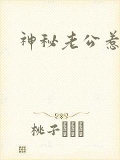 神秘老公惹不起