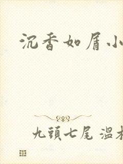 沉香如屑小说封面