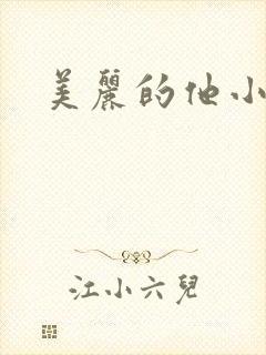 美丽的他小说
