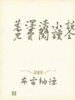 叶泽涛小说全文免费阅读全文封面