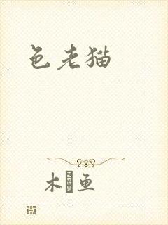 色老猫封面