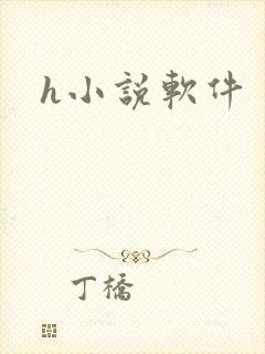 h小说软件