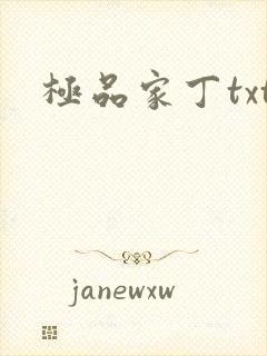 极品家丁txt