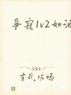 争宠1v2如酒