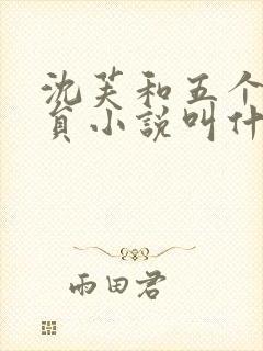 沈芙和五个消防员小说叫什么